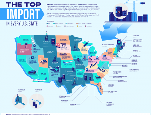 Infographic: The Most Popular Imports By State