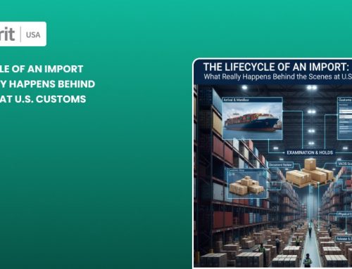 The Lifecycle of an Import: What Really Happens Behind the Scenes at U.S. Customs